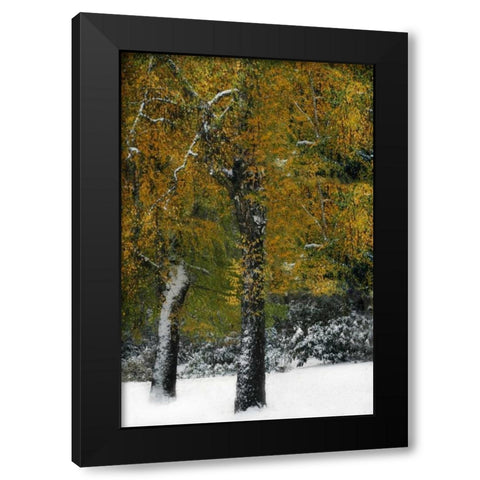 Last of Color I Black Modern Wood Framed Art Print by Geyman, Vitaly