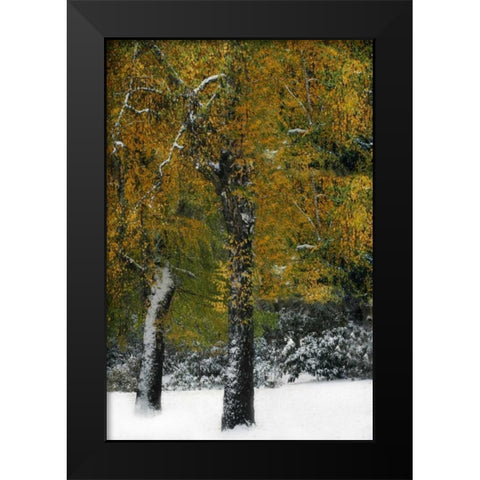 Last of Color I Black Modern Wood Framed Art Print by Geyman, Vitaly
