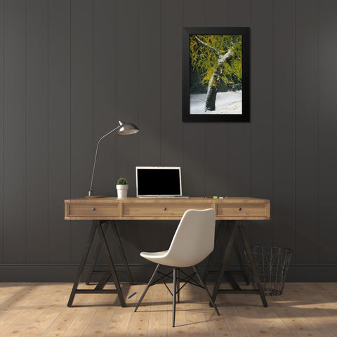Last of Color II Black Modern Wood Framed Art Print by Geyman, Vitaly