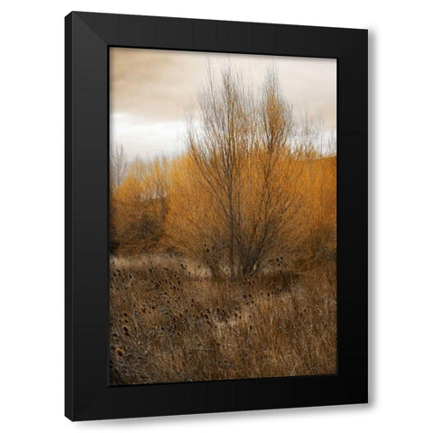 Spring Serenity I Black Modern Wood Framed Art Print with Double Matting by Geyman, Vitaly