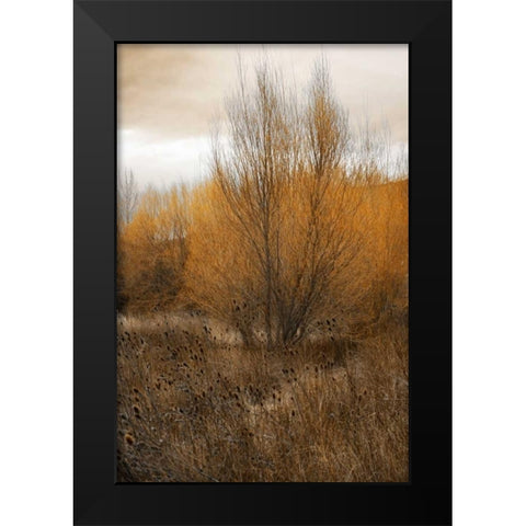 Spring Serenity I Black Modern Wood Framed Art Print by Geyman, Vitaly