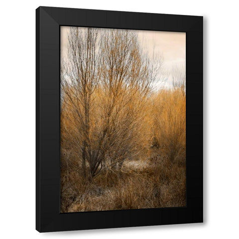 Spring Serenity II Black Modern Wood Framed Art Print by Geyman, Vitaly