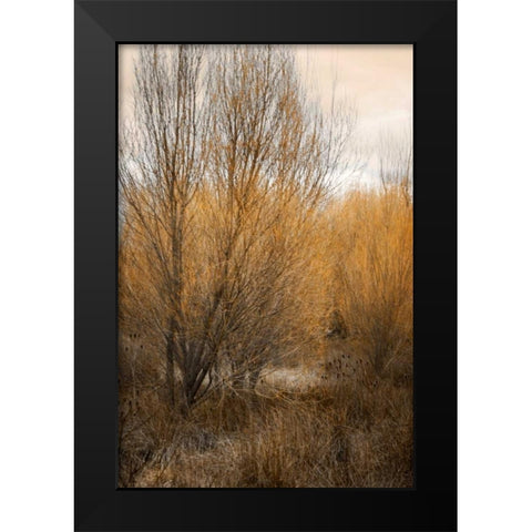 Spring Serenity II Black Modern Wood Framed Art Print by Geyman, Vitaly