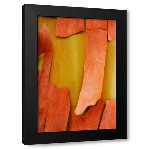 Madrone Mosaic I Black Modern Wood Framed Art Print by Geyman, Vitaly