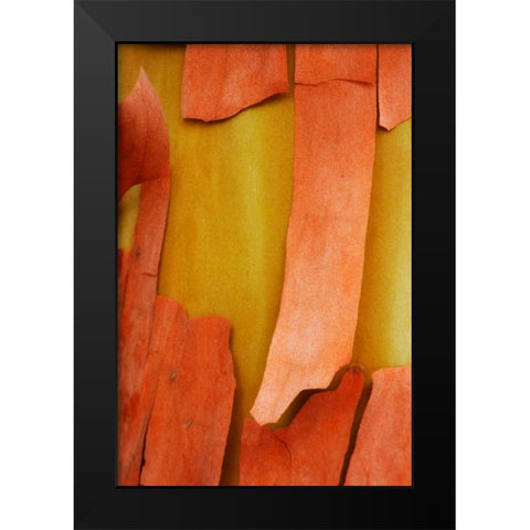 Madrone Mosaic I Black Modern Wood Framed Art Print by Geyman, Vitaly