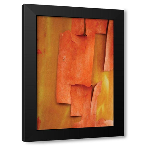 Madrone Mosaic II Black Modern Wood Framed Art Print by Geyman, Vitaly