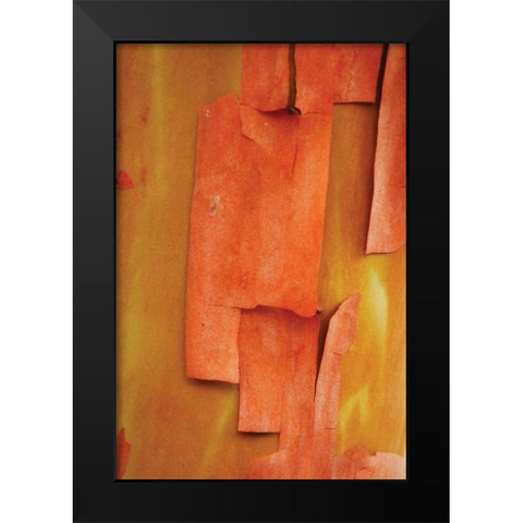 Madrone Mosaic II Black Modern Wood Framed Art Print by Geyman, Vitaly