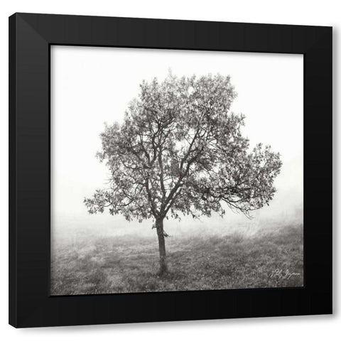 Burning Oak BW VI Black Modern Wood Framed Art Print with Double Matting by Vitaly, Geyman