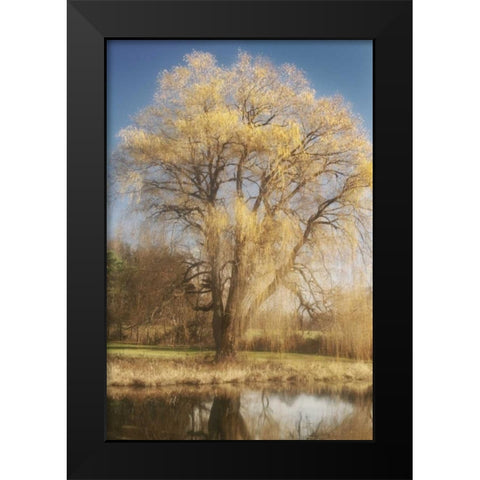 Willow Magic I Black Modern Wood Framed Art Print by Vitaly, Geyman