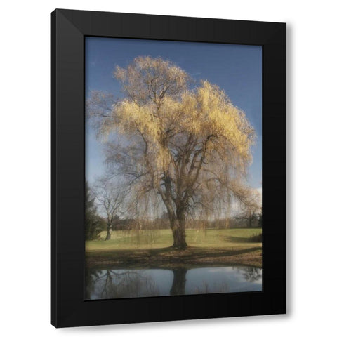 Willow Magic II Black Modern Wood Framed Art Print with Double Matting by Vitaly, Geyman
