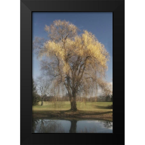 Willow Magic II Black Modern Wood Framed Art Print by Vitaly, Geyman