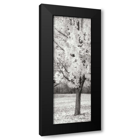 Splash of Color III BW Black Modern Wood Framed Art Print with Double Matting by Geyman, Vitaly