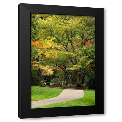 Fall Colors III Black Modern Wood Framed Art Print by Geyman, Vitaly