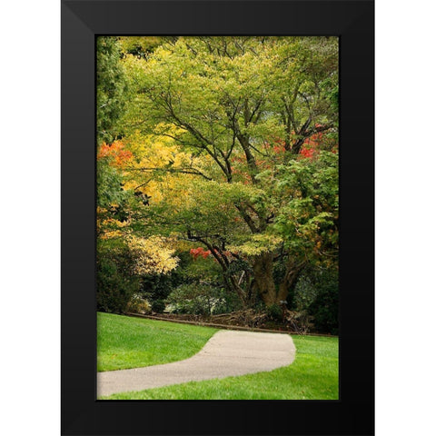 Fall Colors III Black Modern Wood Framed Art Print by Geyman, Vitaly