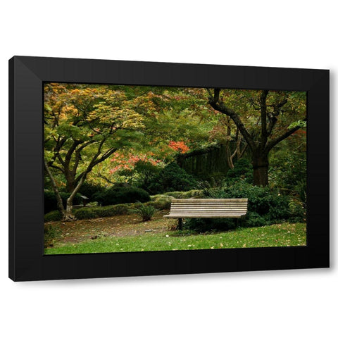Fall Colors IV Black Modern Wood Framed Art Print with Double Matting by Geyman, Vitaly