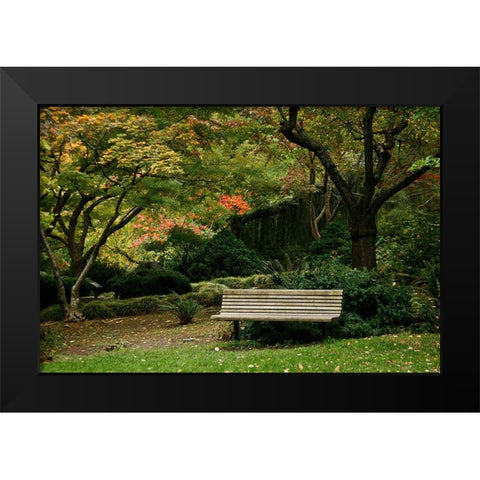 Fall Colors IV Black Modern Wood Framed Art Print by Geyman, Vitaly