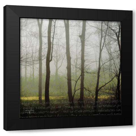 Partners IV Black Modern Wood Framed Art Print with Double Matting by Studio 2