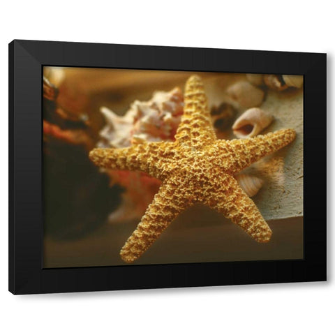 Starfish I Black Modern Wood Framed Art Print by Clayton-Thompson, Philip