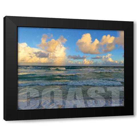 Florida Coast Black Modern Wood Framed Art Print with Double Matting by Williams, Todd