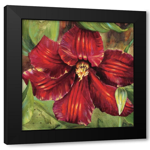 Rosa Odorada Black Modern Wood Framed Art Print by Werbelow, Selina