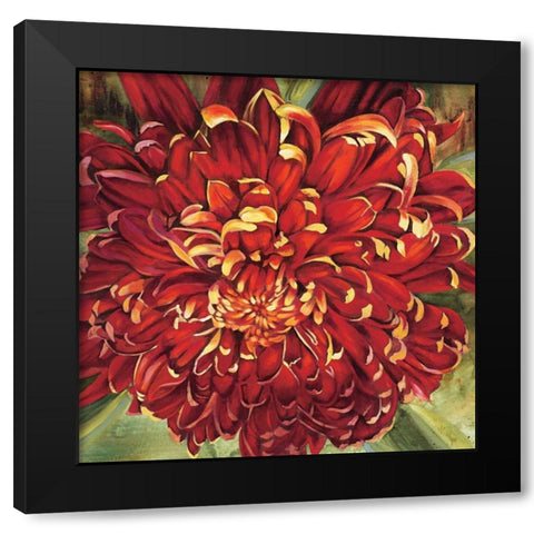 Chrysanthemum Black Modern Wood Framed Art Print by Werbelow, Selina