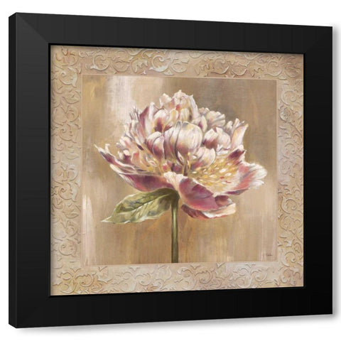 Pivoines I Black Modern Wood Framed Art Print by Werbelow, Selina