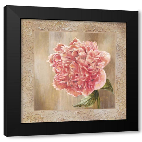 Pivoines II Black Modern Wood Framed Art Print by Werbelow, Selina