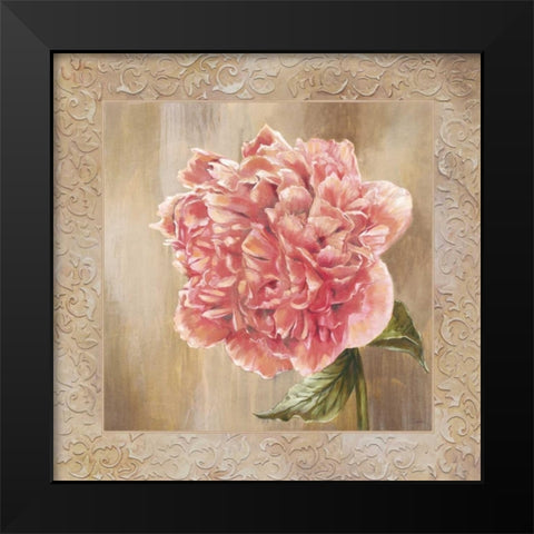 Pivoines II Black Modern Wood Framed Art Print by Werbelow, Selina