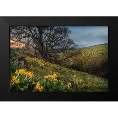 Hillside Oak Black Modern Wood Framed Art Print by Head, Danny