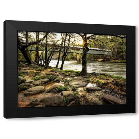 Swann Bridge II Black Modern Wood Framed Art Print with Double Matting by Head, Danny