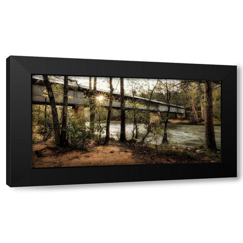 Swann Biridge III Black Modern Wood Framed Art Print with Double Matting by Head, Danny