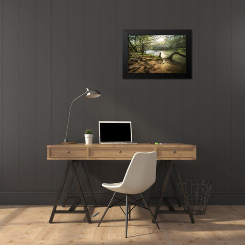 Swann Bridge VI Black Modern Wood Framed Art Print by Head, Danny