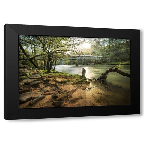 Swann Bridge VI Black Modern Wood Framed Art Print by Head, Danny