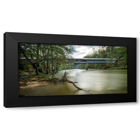 Swann Bridge VII Black Modern Wood Framed Art Print by Head, Danny