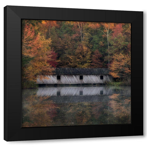 Reflections I Black Modern Wood Framed Art Print with Double Matting by Head, Danny