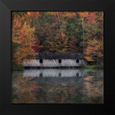 Reflections I Black Modern Wood Framed Art Print by Head, Danny
