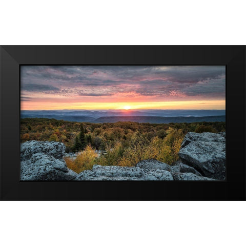 Yellow Dawn I Black Modern Wood Framed Art Print by Head, Danny