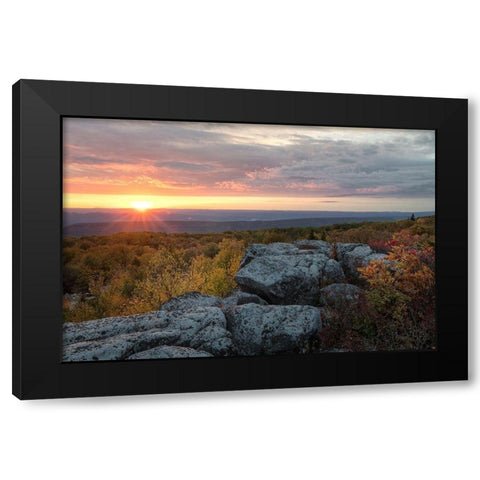 Yellow Dawn II Black Modern Wood Framed Art Print with Double Matting by Head, Danny