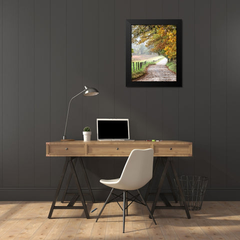 Cove lane II Black Modern Wood Framed Art Print by Head, Danny