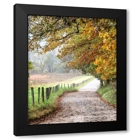 Cove lane II Black Modern Wood Framed Art Print by Head, Danny