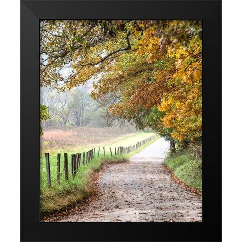 Cove lane II Black Modern Wood Framed Art Print by Head, Danny