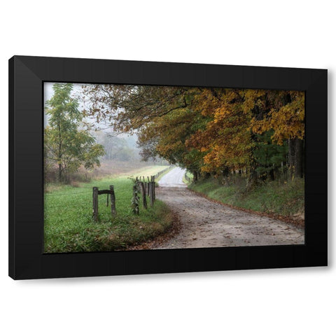 Cove Lane III Black Modern Wood Framed Art Print by Head, Danny