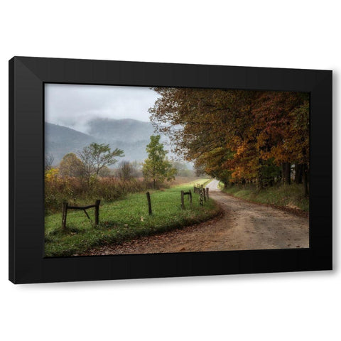 Cove Lane IV Black Modern Wood Framed Art Print by Head, Danny