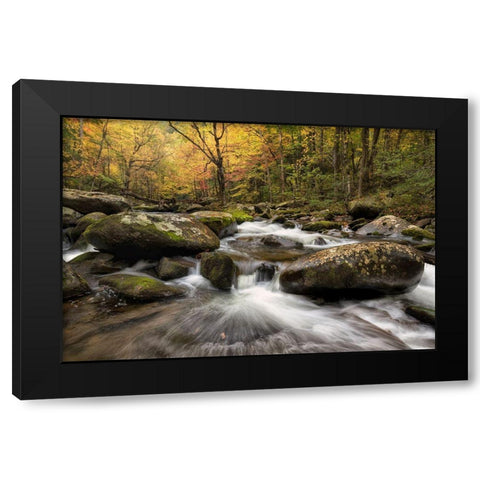 Autumn at Tremont I Black Modern Wood Framed Art Print by Head, Danny