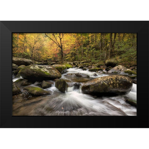 Autumn at Tremont I Black Modern Wood Framed Art Print by Head, Danny