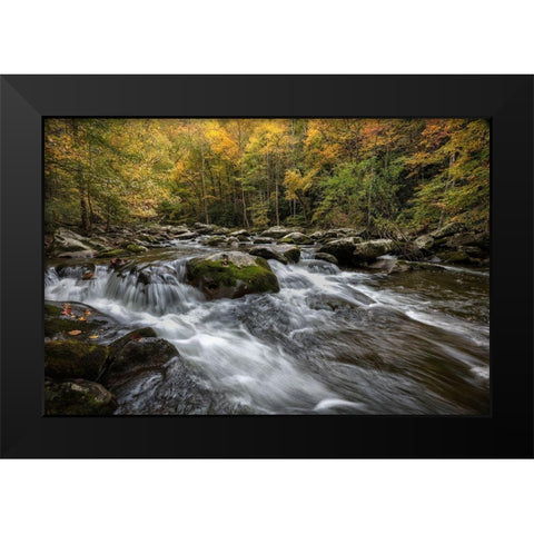 Autumn at Tremont III Black Modern Wood Framed Art Print by Head, Danny