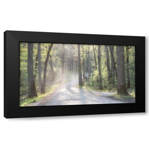 Misty Road Black Modern Wood Framed Art Print by Head, Danny