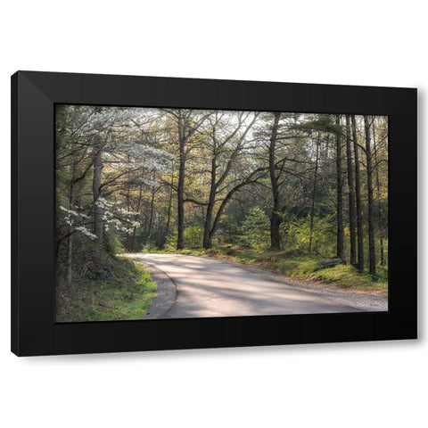 Around the Bend Black Modern Wood Framed Art Print with Double Matting by Head, Danny