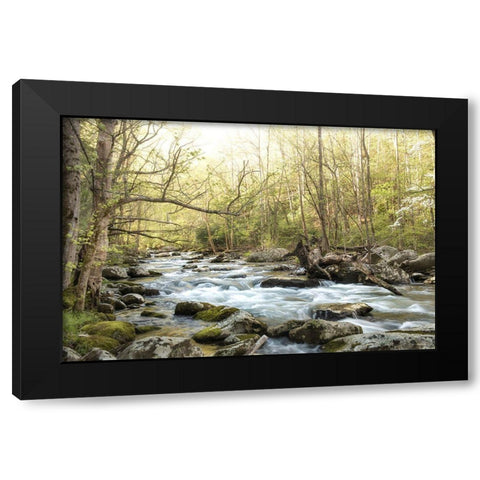 Bliss Black Modern Wood Framed Art Print with Double Matting by Head, Danny