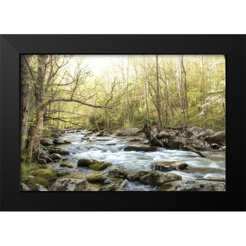 Bliss Black Modern Wood Framed Art Print by Head, Danny